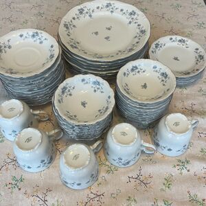 Johann Haviland Blue Garland Dishes White Blue Silver Bavaria Germany Cups Plate